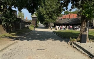 IMG_4263