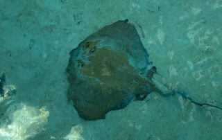 image00012
