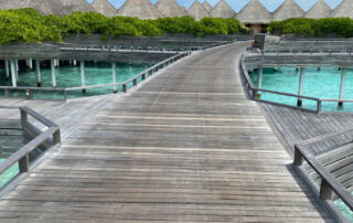 image00018