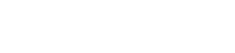 reiseforum-logo-light