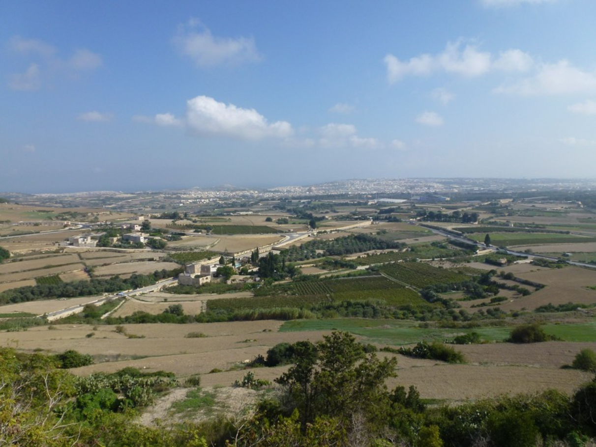 P1030582