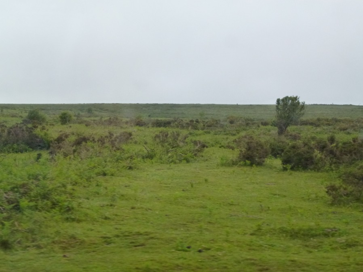 P1040144 (1)
