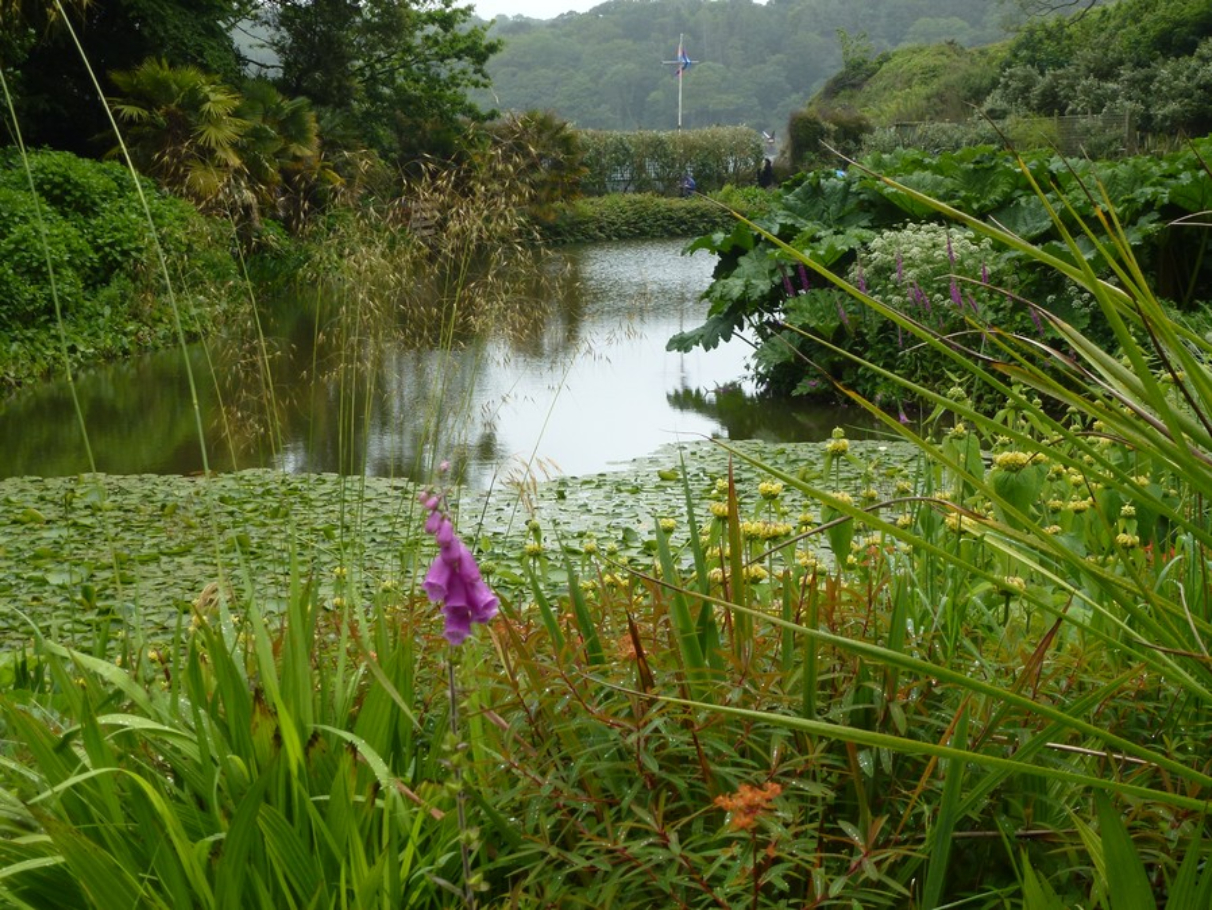 P1040240 (1)