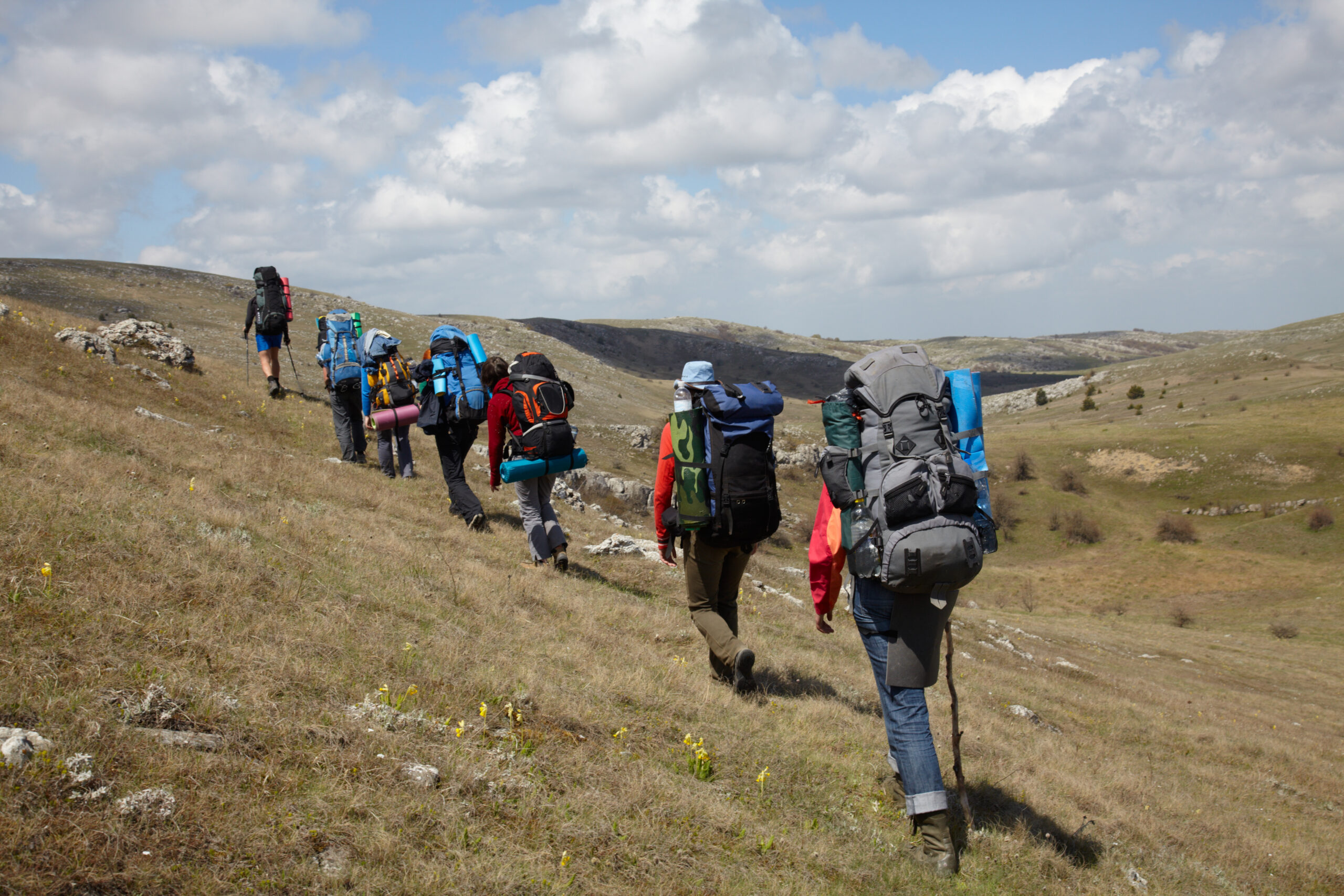 Group of travelers