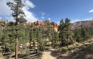 IMG_6451