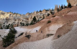 IMG_6485