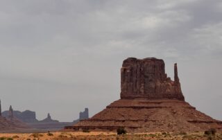 IMG_6617