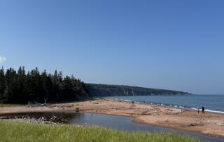 IMG_7347