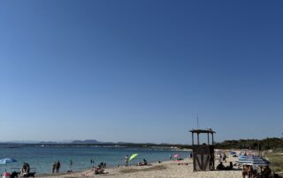 IMG_2969