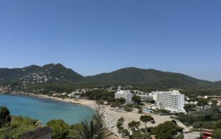 IMG_3509